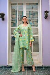 Reema Ahsan - Imara - PK Raw Silk & Organza - Mint Green - 3 Piece